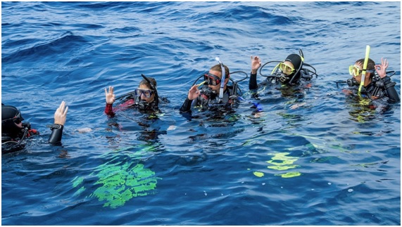 Buceo en Valencia